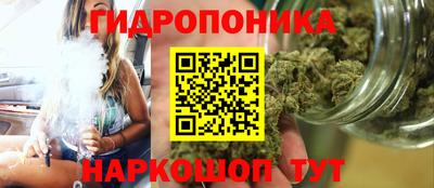 гашик Тула