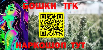 шишки Тара