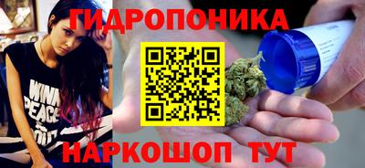 гашик Тула