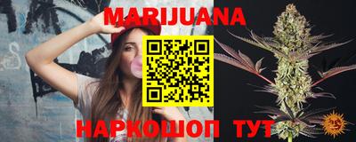 шишки Тара