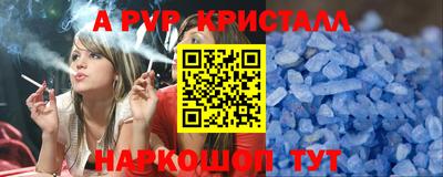шишки Тара